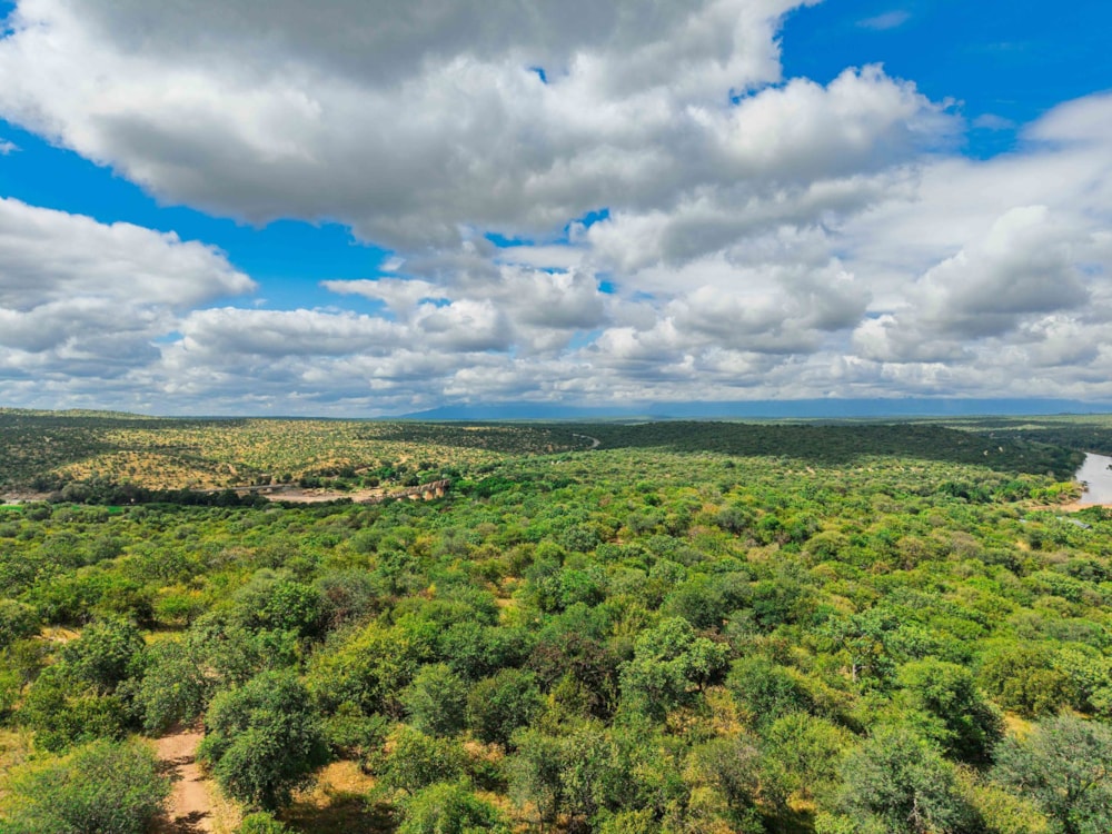 Vacant land for sale in Elephant Rock Eco Estate - 1HS1732303