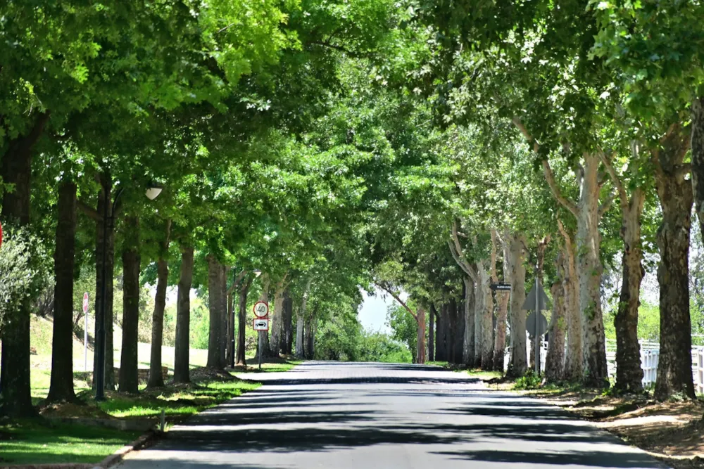 Vacant land sold in Blair Atholl - FW1732340 Vacant land sold in Blair Atholl - FW1732340