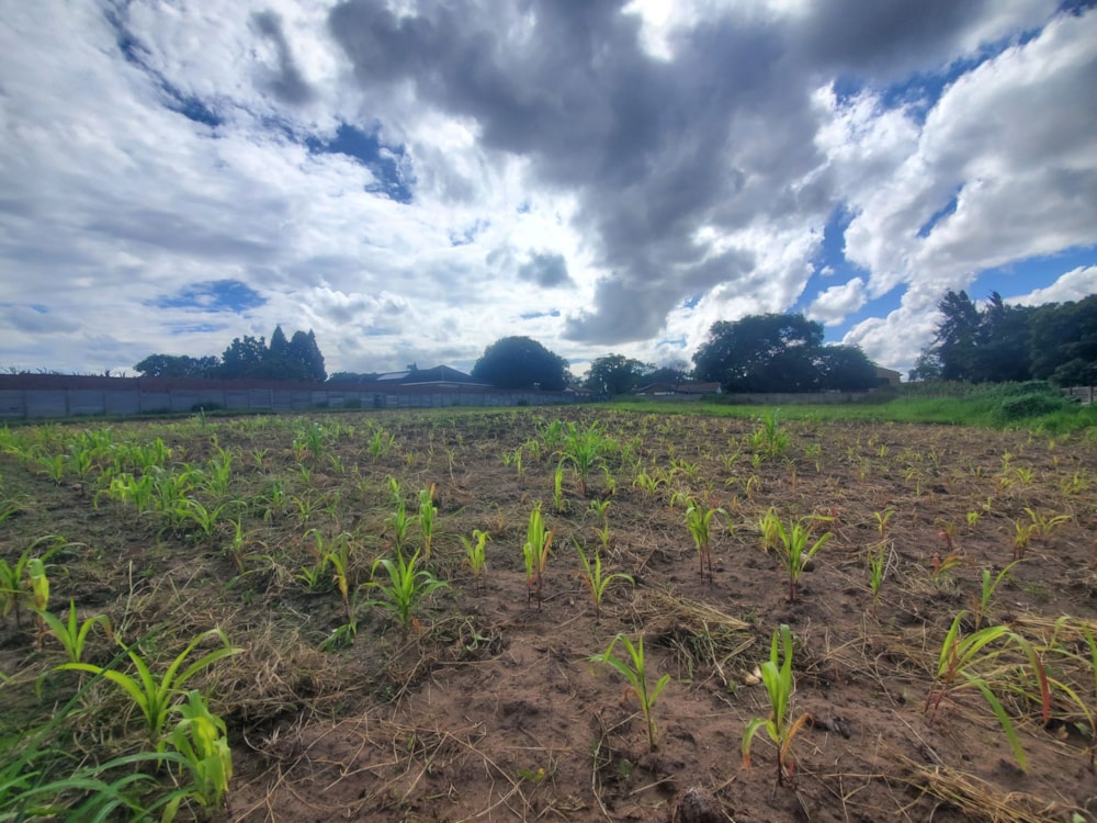 Residential vacant land for sale in Waterfalls, Zimbabwe - 3ZB1732459