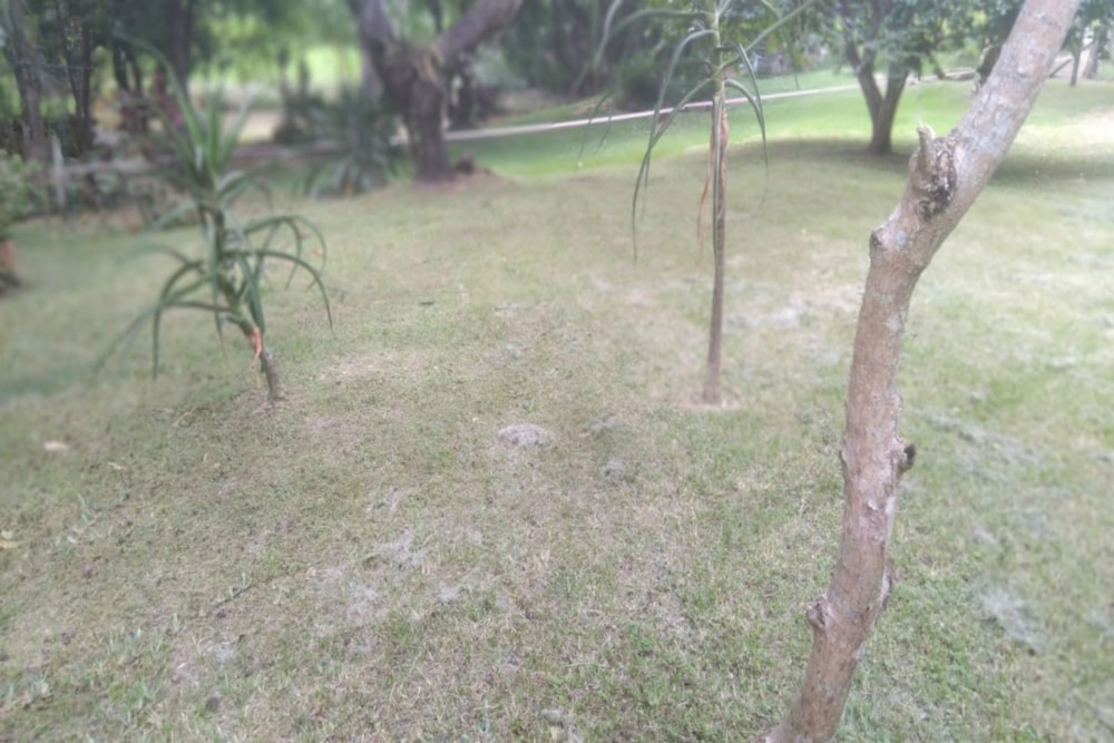 Residential vacant land for sale in Hazyview - 1WR1732472