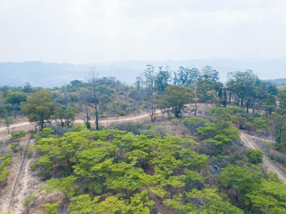 Vacant land for sale in Nyanga, Zimbabwe - 3ZB1732493