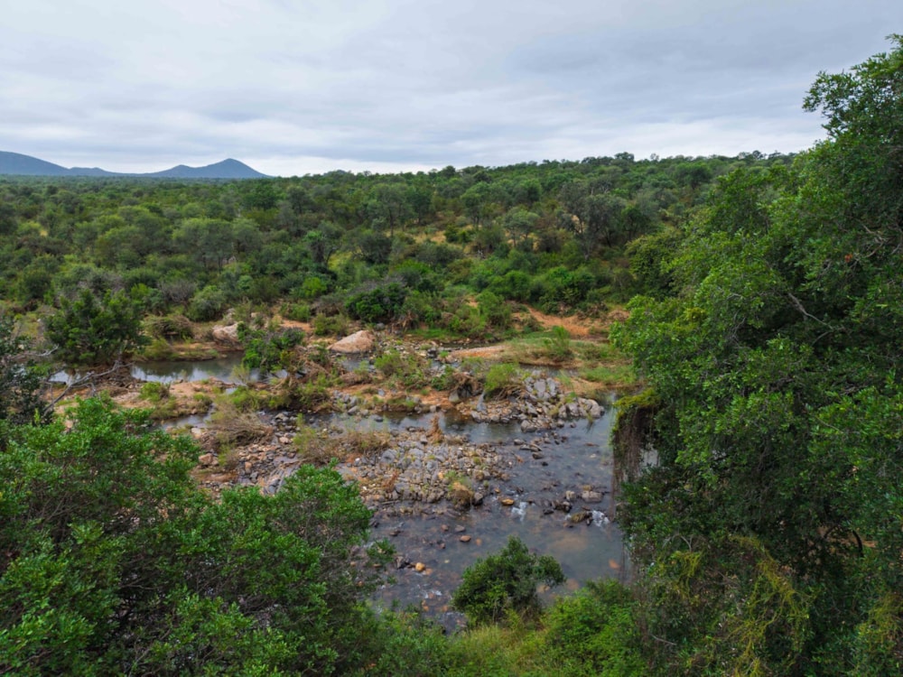 Vacant land for sale in Selati Game Reserve - 1HS1734445