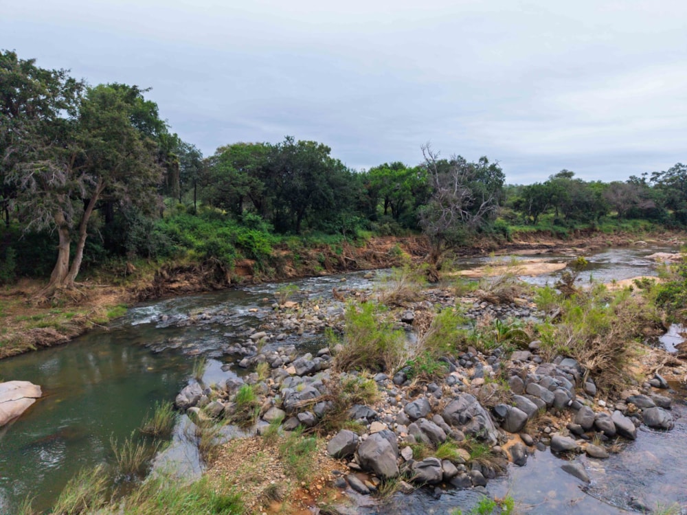 Vacant land for sale in Selati Game Reserve - 1HS1734445