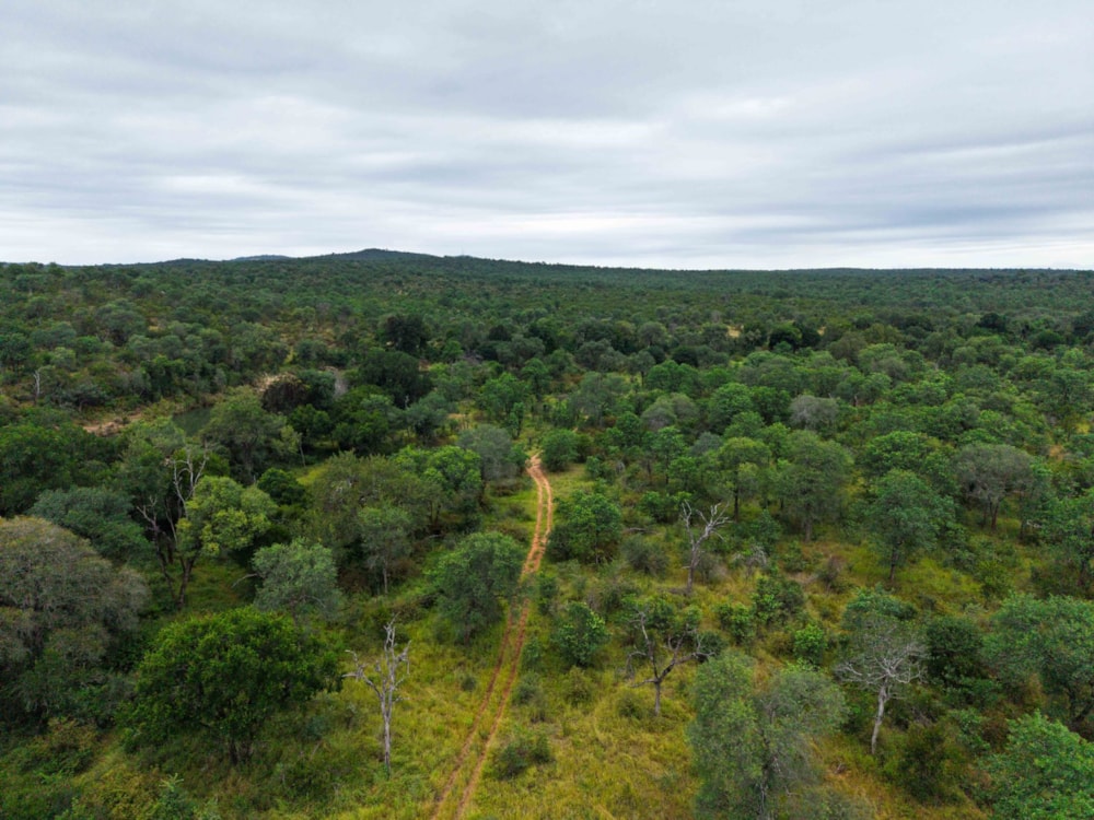 Vacant land for sale in Selati Game Reserve - 1HS1734445