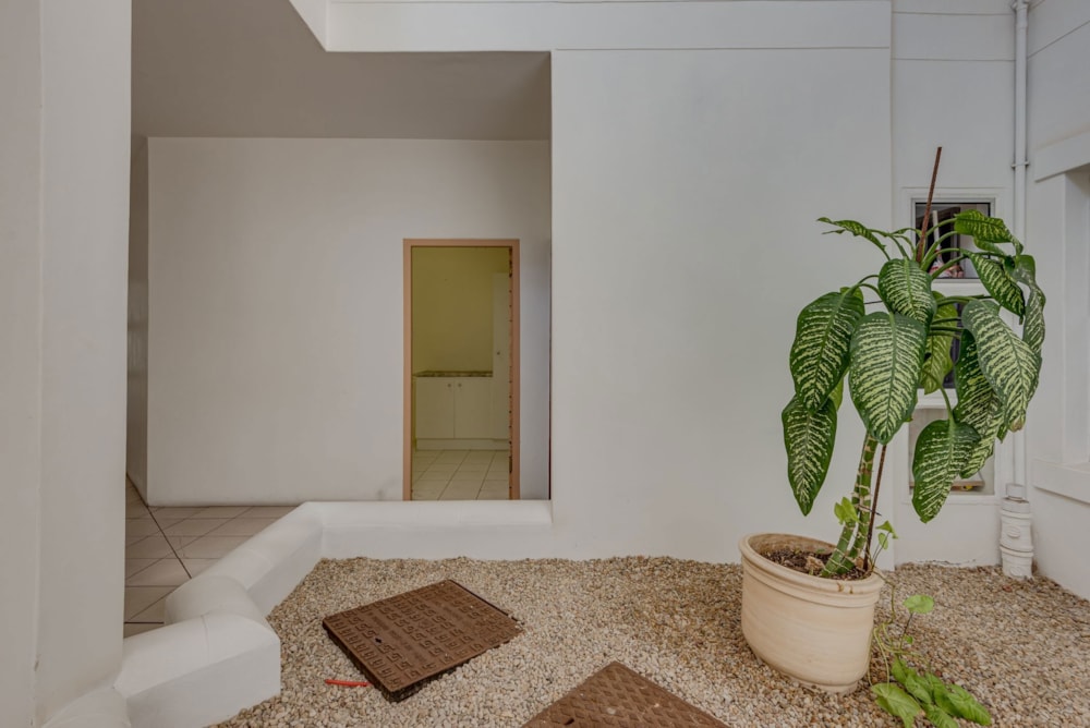 Apartment to rent in Summerstrand - 1PLZ1732563 Apartment to rent in Summerstrand - 1PLZ1732563