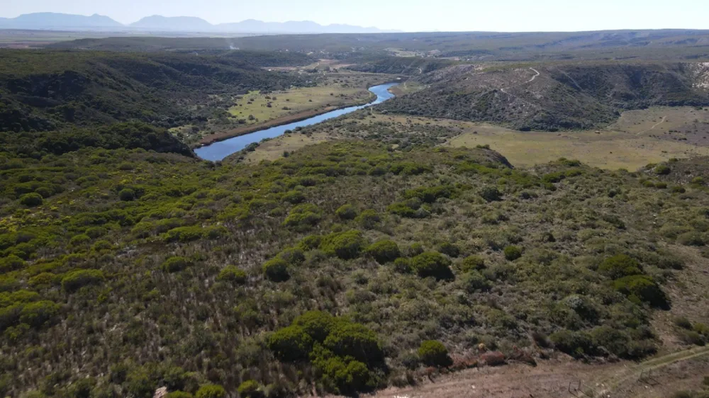 Breeding farm for sale in Heidelberg, Garden Route - 1SR1732633
