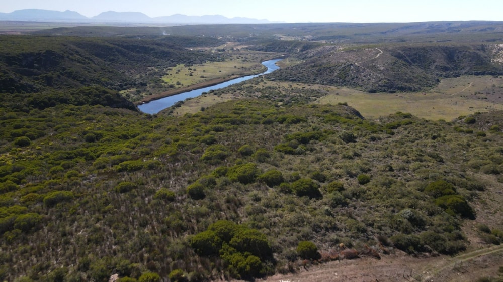 Breeding farm for sale in Heidelberg, Garden Route - 1SR1732633