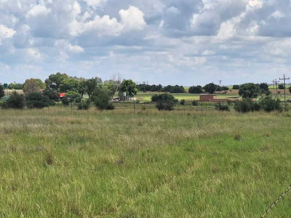 Aquaculture farm for sale in Schweizer-Reneke - 1KJ1732672 Aquaculture farm for sale in Schweizer-Reneke - 1KJ1732672