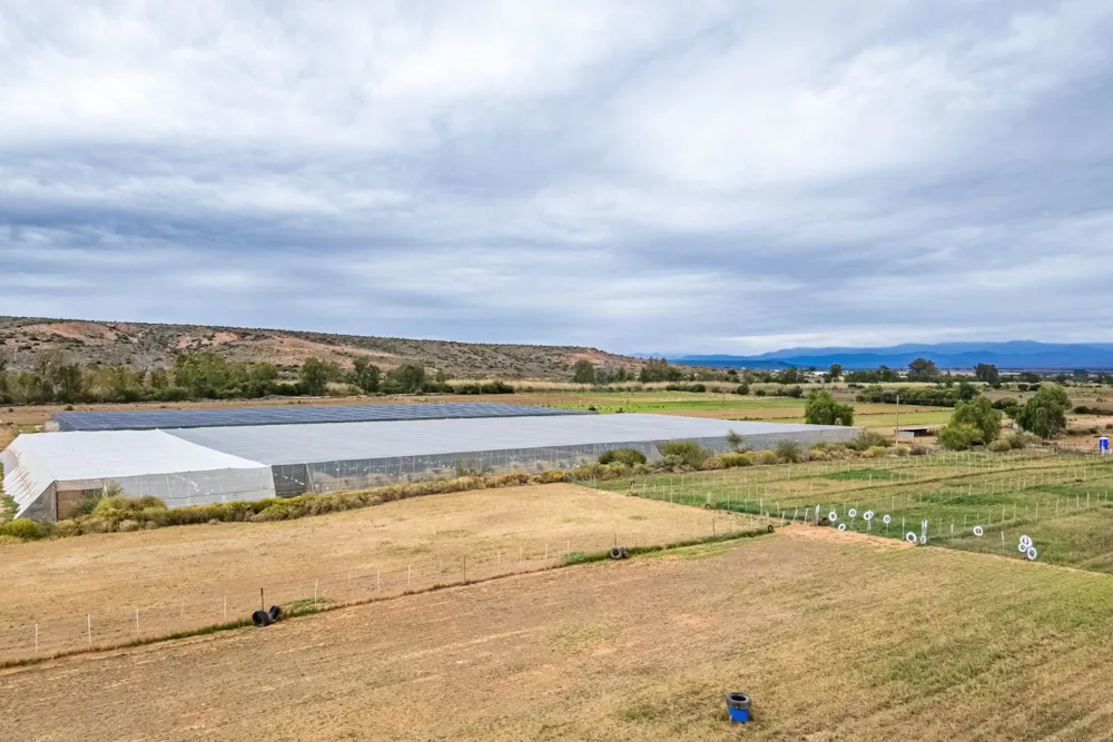 Mixed use farm for sale in Oudtshoorn Rural - 1OU1732720