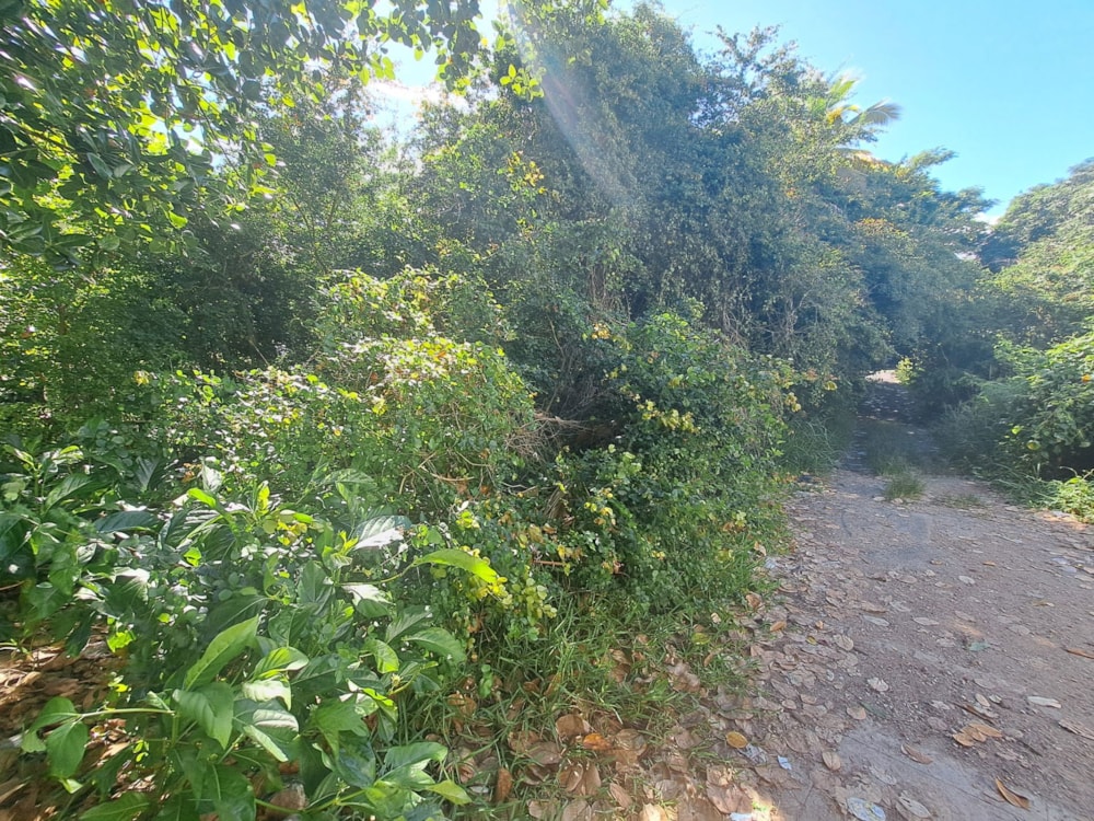 Vacant land for sale in Baie du Tombeau, Mauritius - MPR1732763