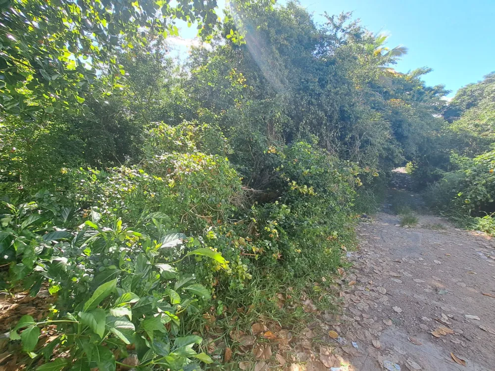 Vacant land for sale in Baie du Tombeau, Mauritius - MPR1732763 Vacant land for sale in Baie du Tombeau, Mauritius - MPR1732763