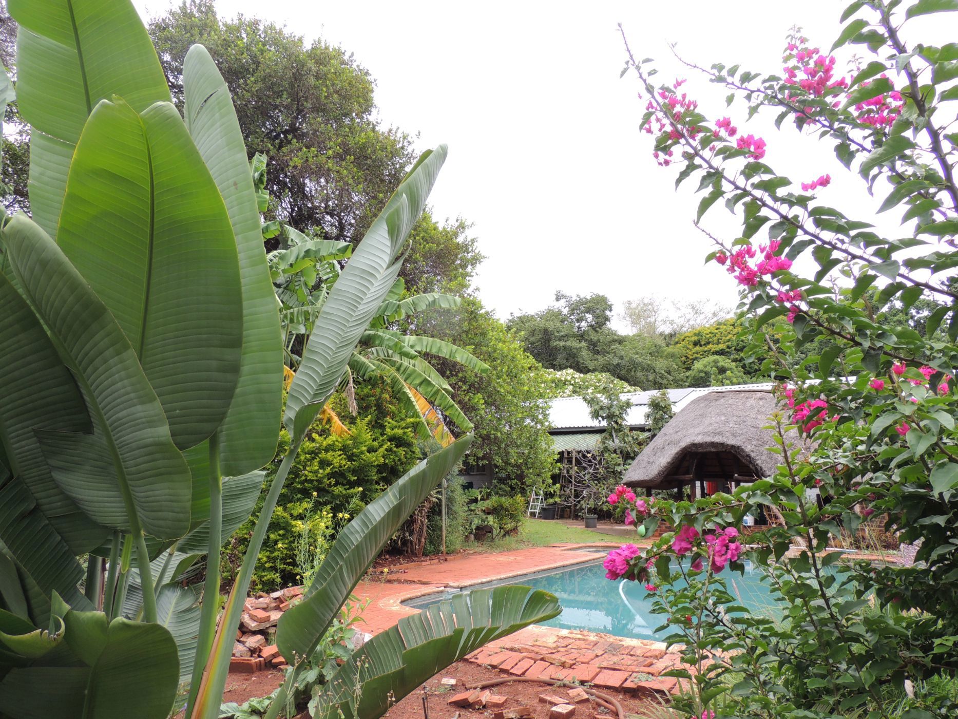 House for sale in Mookgopong (Naboomspruit) - 1MDM1732809
