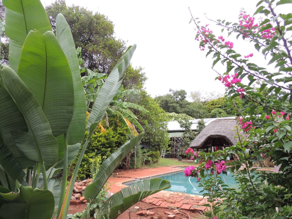 House for sale in Mookgopong (Naboomspruit) - 1MDM1732809