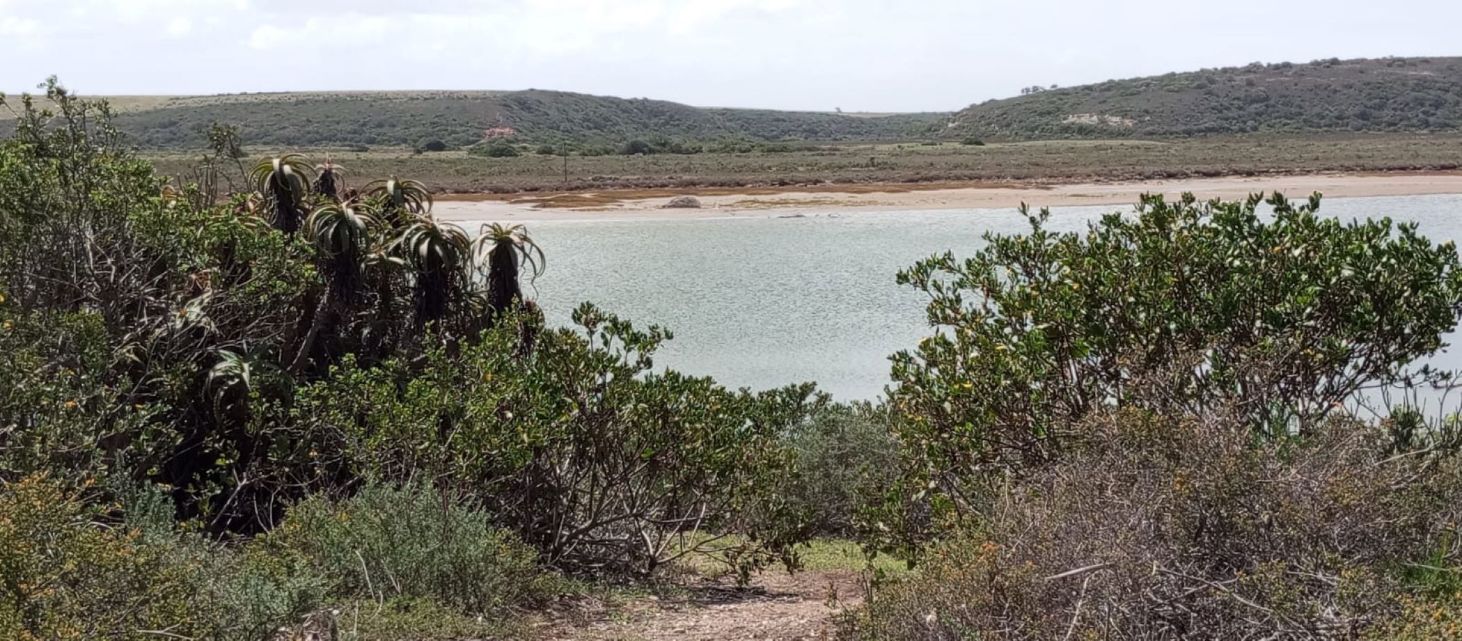 Vacant land for sale in Gouritsmond - 1SR1733438