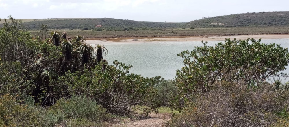 Vacant land for sale in Gouritsmond - 1SR1733438 Vacant land for sale in Gouritsmond - 1SR1733438