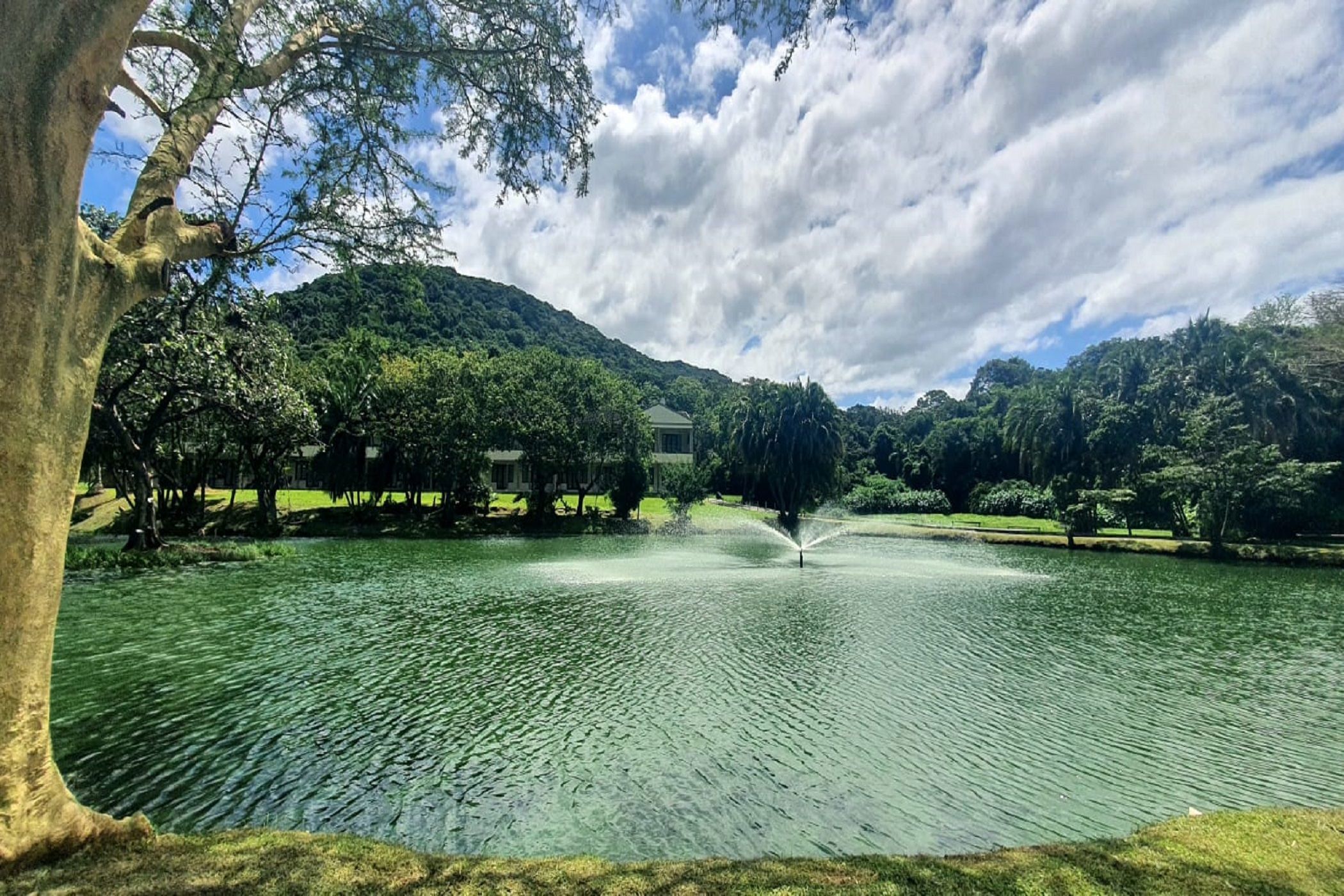 Security complex home to rent in Banners Rest - 1PD1732828