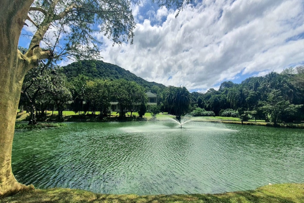 Security complex home to rent in Port Edward - 1PD1732828