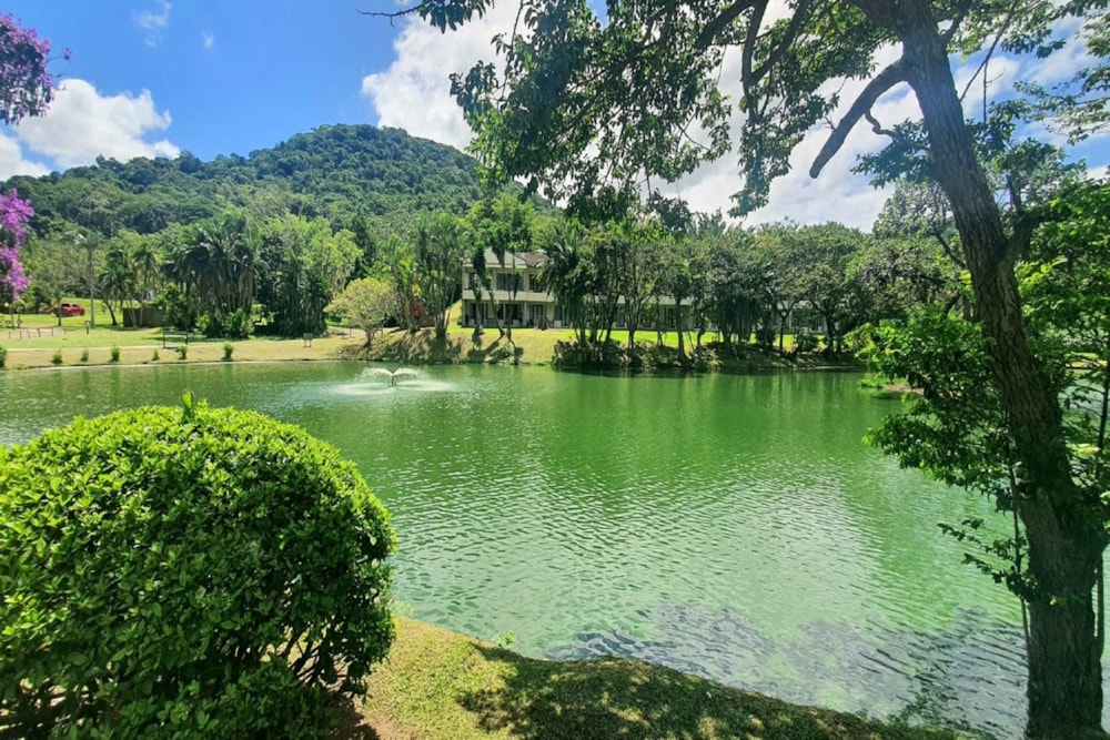 Security complex home to rent in Port Edward - 1PD1732828