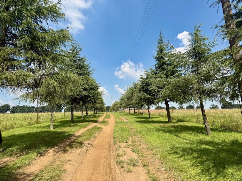 Smallholding for sale in Ermelo - 1EM1732830 Smallholding for sale in Ermelo - 1EM1732830