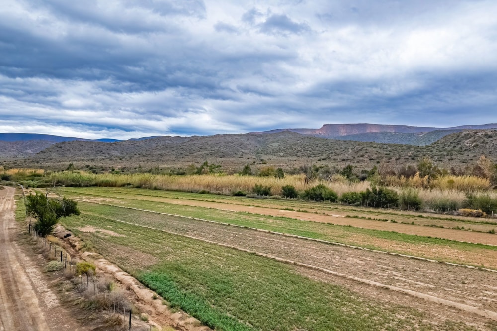 Mixed use farm for sale in Oudtshoorn - 1OU1732875