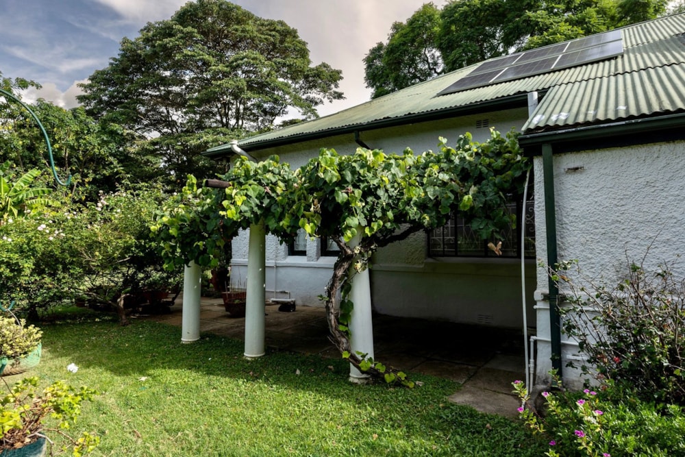 House for sale in Newlands, Zimbabwe - 3ZB1732848 House for sale in Newlands, Zimbabwe - 3ZB1732848