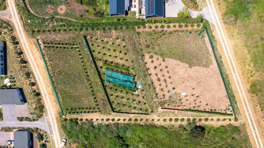 Vacant land for sale in Elaleni Coastal Forest Estate - 1BD1732981 Vacant land for sale in Elaleni Coastal Forest Estate - 1BD1732981