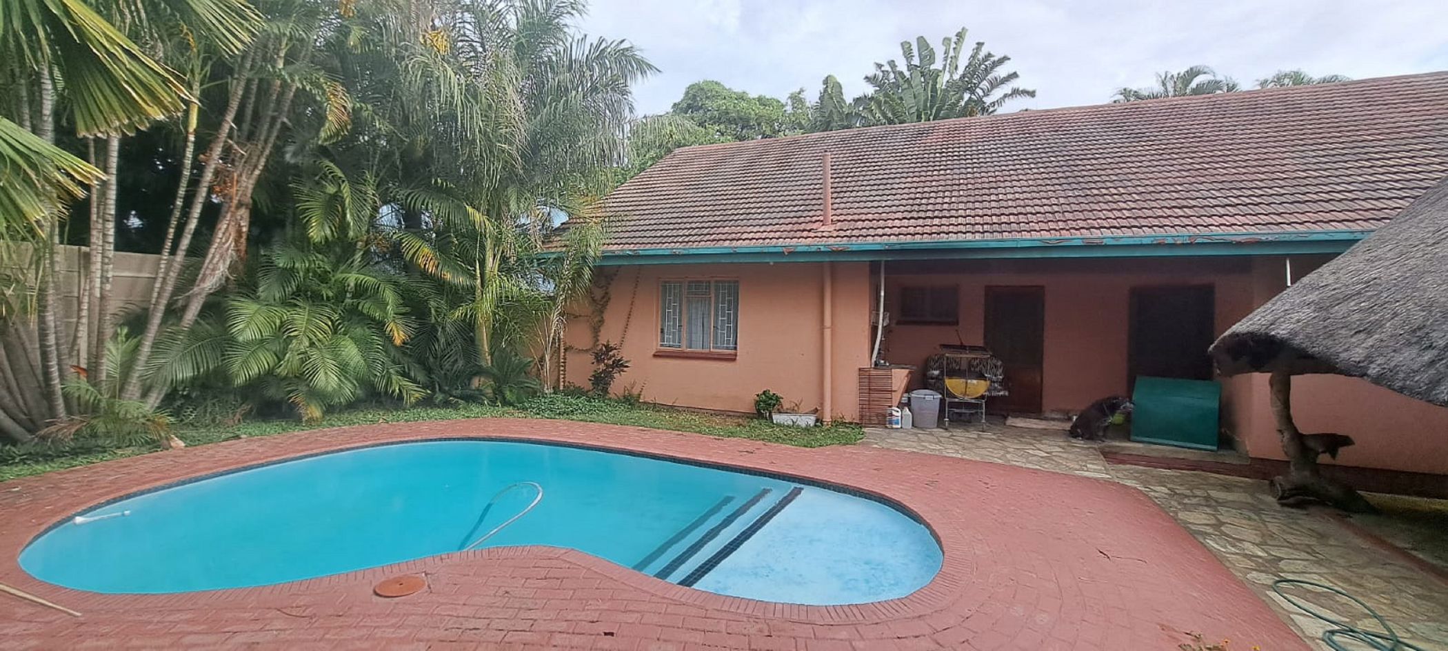 House for sale in Phalaborwa - 1PW1733104