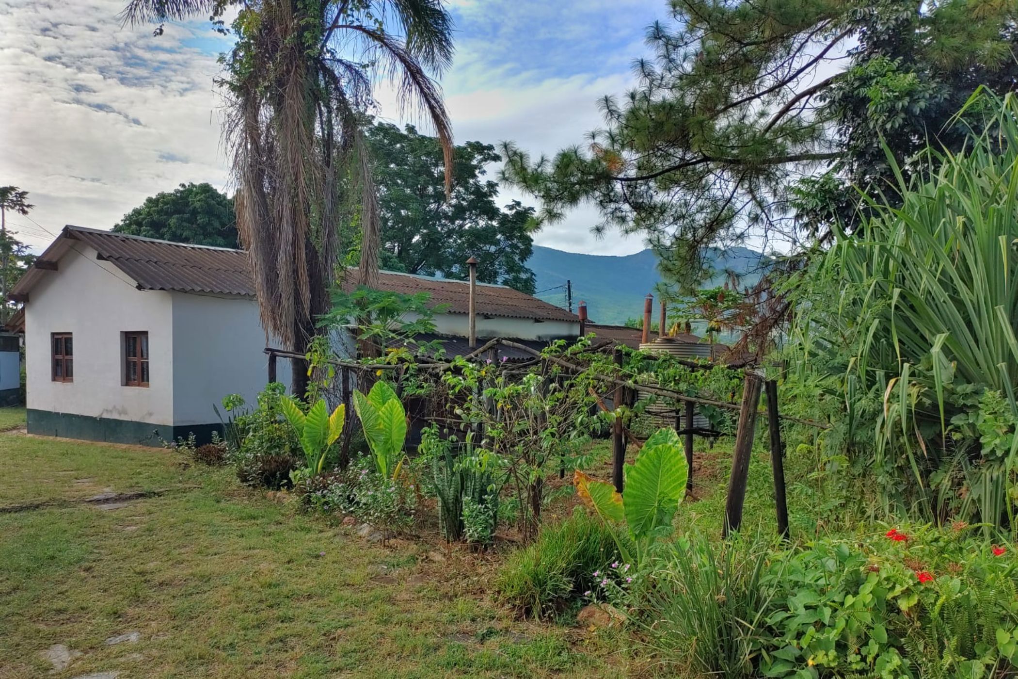 Vacant land for investment in Manica, Mozambique - 3MQ1733163