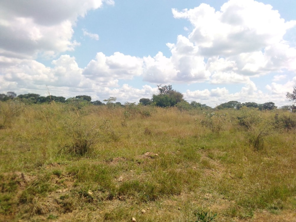 Commercial vacant land for sale in Nyanga, Zimbabwe - 3ZB1733153