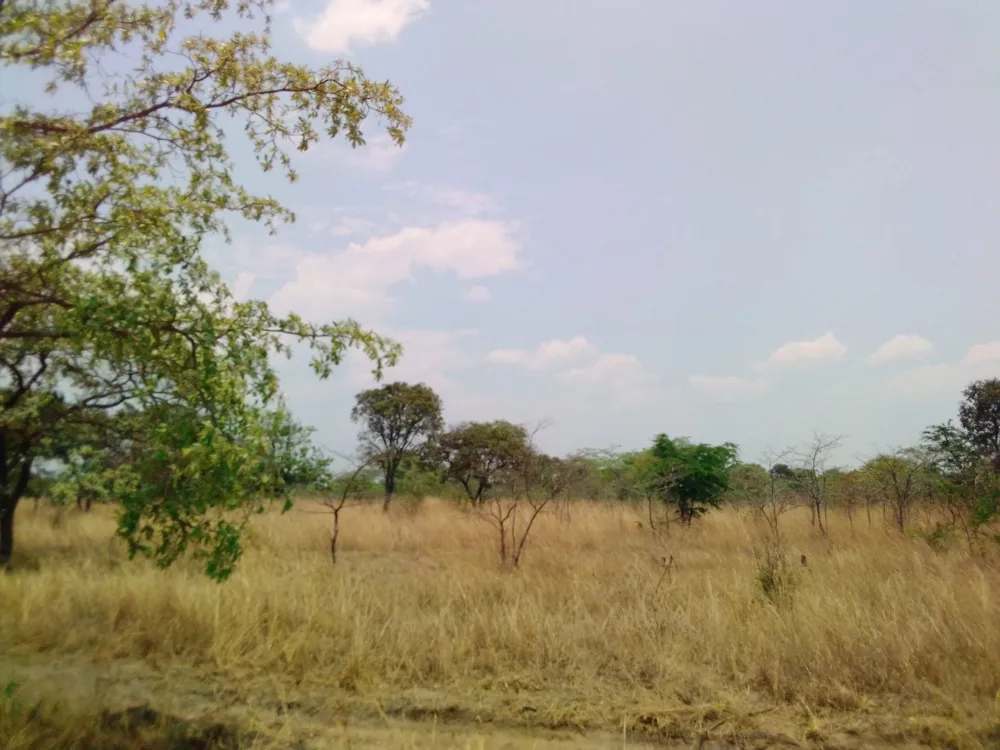 Commercial vacant land for sale in Nyanga, Zimbabwe - 3ZB1733153 Commercial vacant land for sale in Nyanga, Zimbabwe - 3ZB1733153