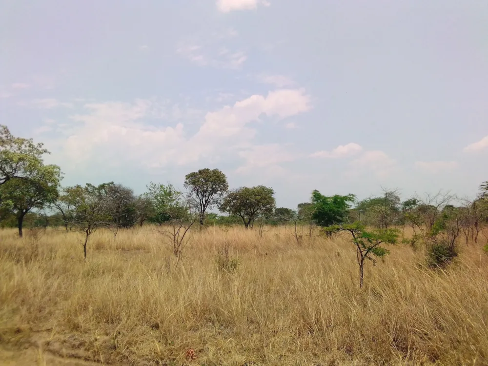 Commercial vacant land for sale in Nyanga, Zimbabwe - 3ZB1733153 Commercial vacant land for sale in Nyanga, Zimbabwe - 3ZB1733153