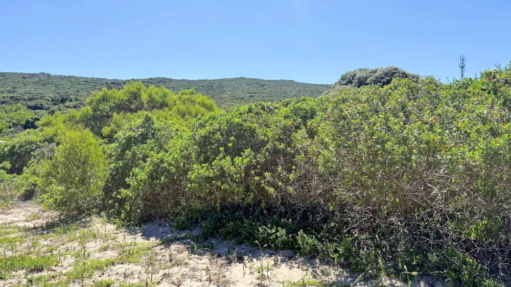 Vacant land for sale in Beachview - 1PLZ1733159