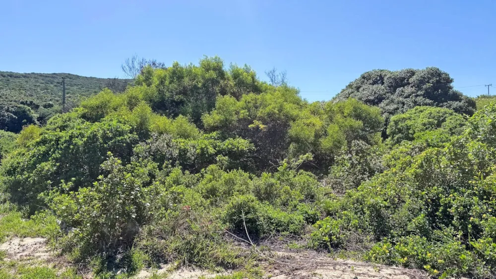Vacant land for sale in Beachview - 1PLZ1733159