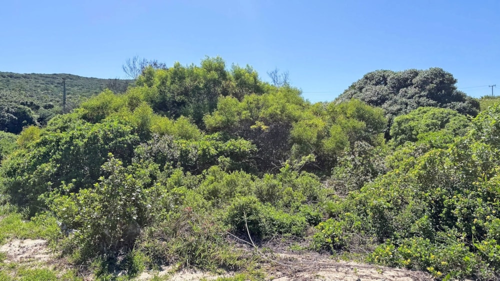 Vacant land for sale in Beachview - 1PLZ1733159