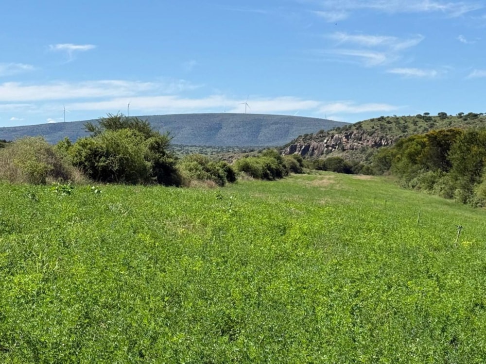 Mixed use farm for sale in Grahamstown (Makhanda) - 1GC1733235