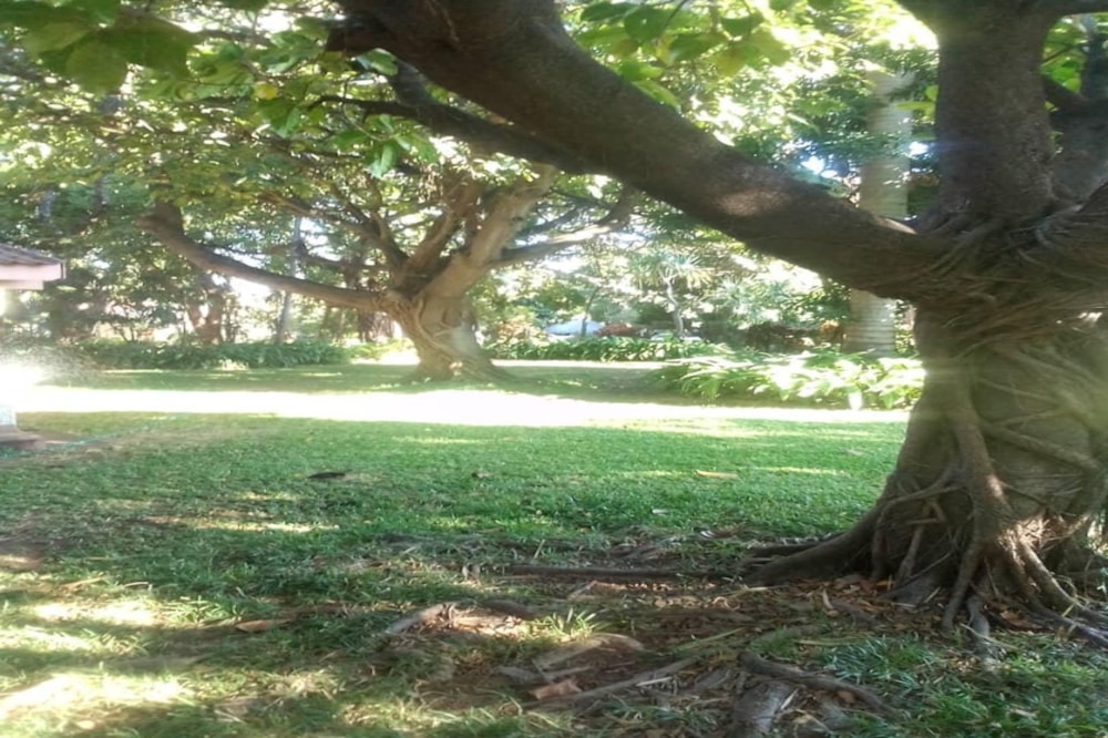 House for sale in Binga, Zimbabwe - 3ZB1733309 House for sale in Binga, Zimbabwe - 3ZB1733309