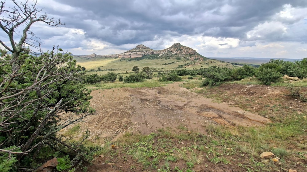 Vacant land for sale in Warden - 1BTH1733813 Vacant land for sale in Warden - 1BTH1733813