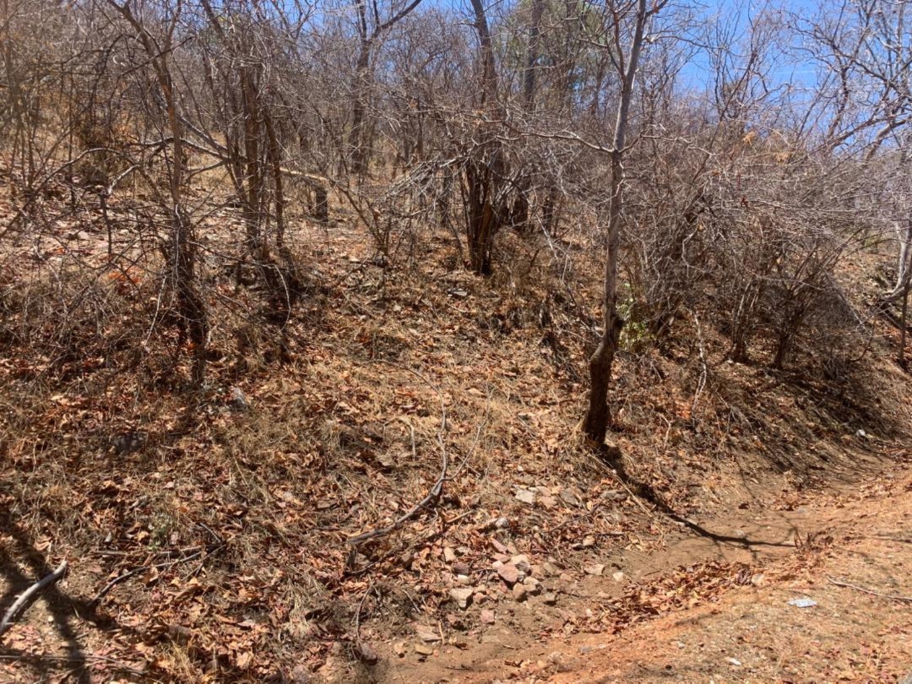 Vacant land for sale in Kariba, Zimbabwe - 3ZB1733327