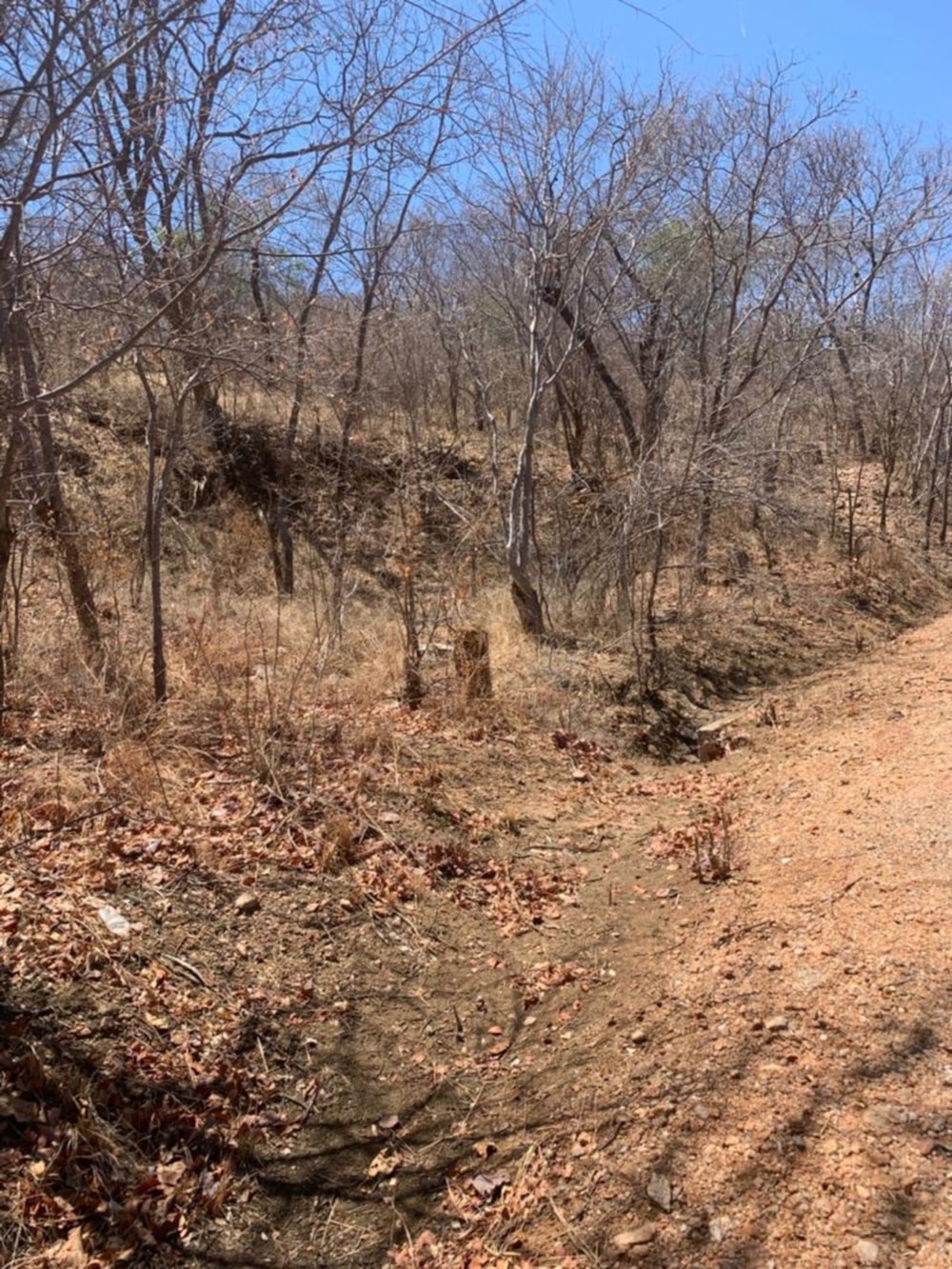 Vacant land for sale in Kariba, Zimbabwe - 3ZB1733327