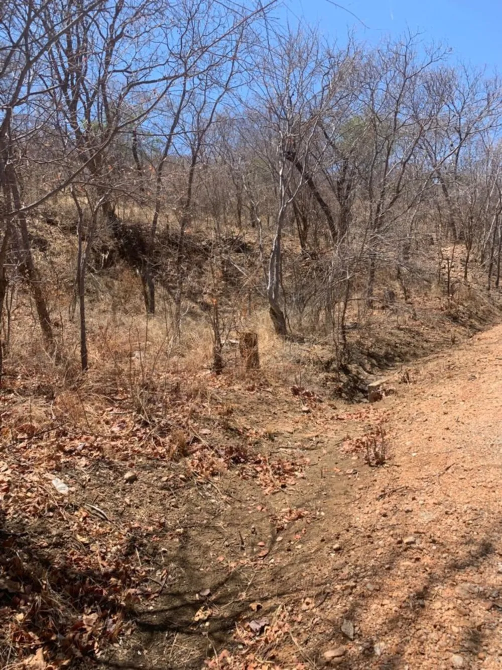 Vacant land for sale in Kariba, Zimbabwe - 3ZB1733327 Vacant land for sale in Kariba, Zimbabwe - 3ZB1733327