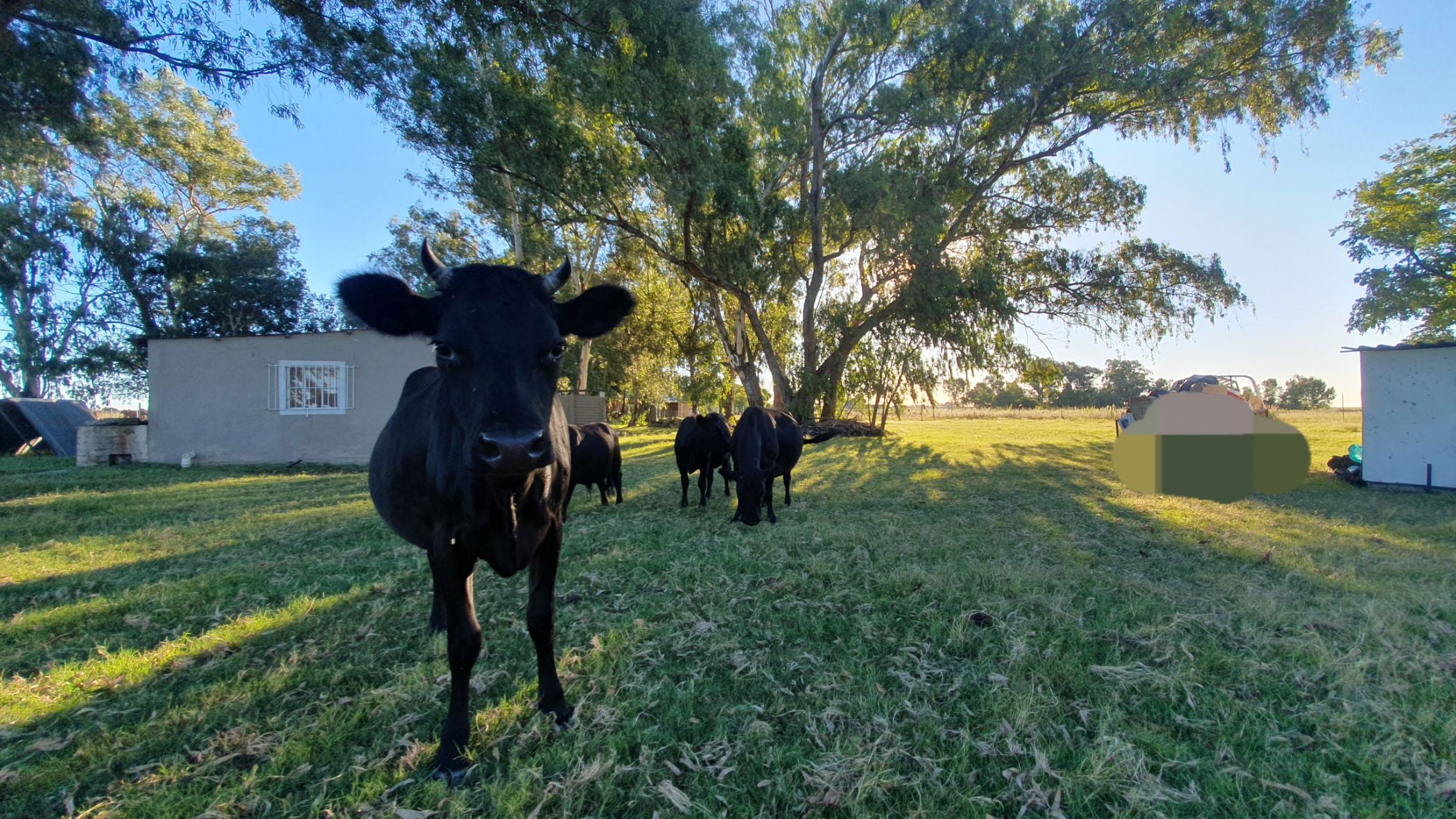 Smallholding for sale in Sasolburg - 1VT1733351