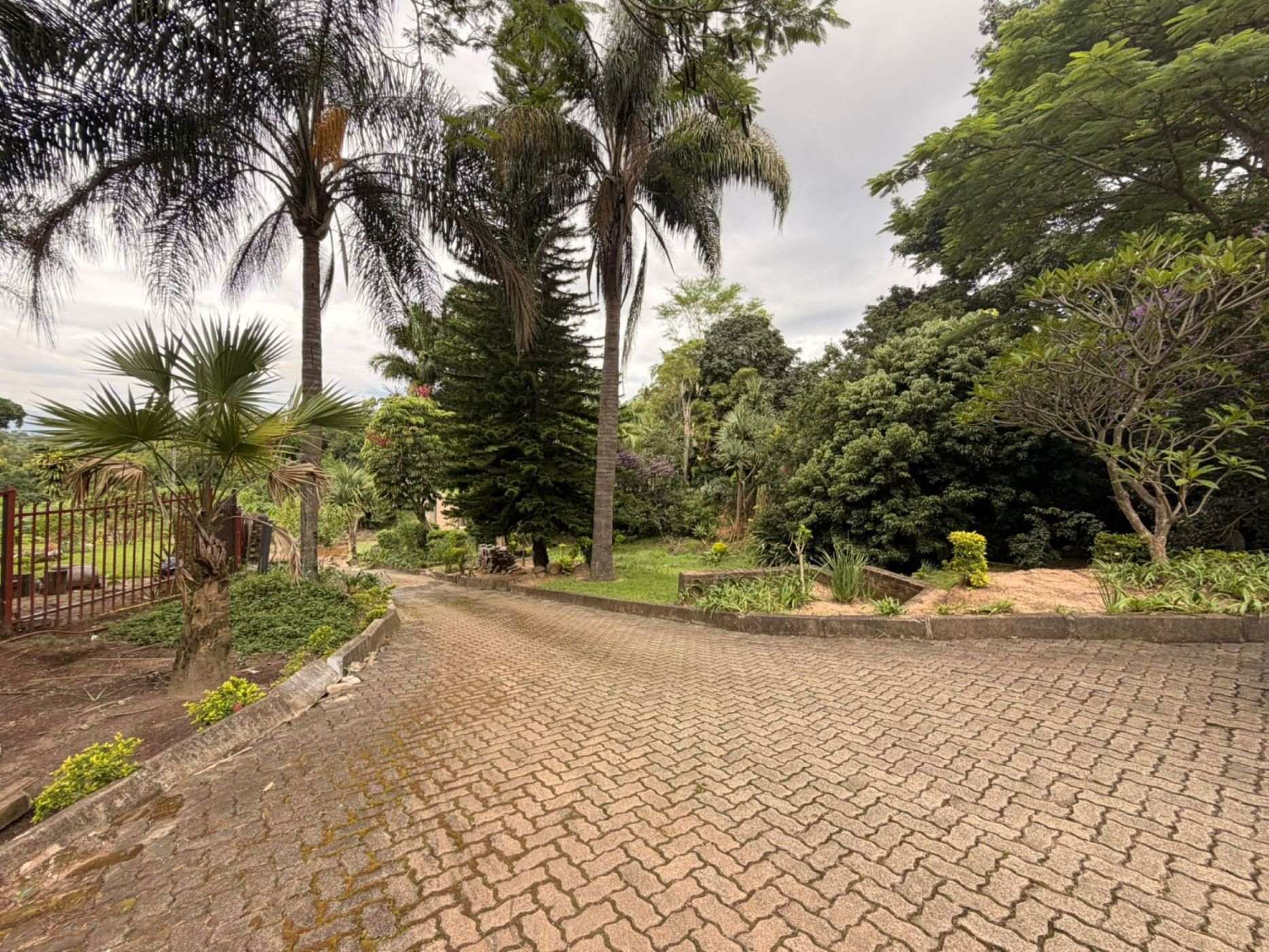 House for sale in Modjadjiskloof (Duiwelskloof)  - 1TA1733365