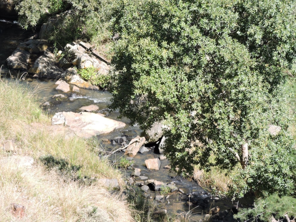 Game farm for sale in Rustenburg - 1RU1733451 Game farm for sale in Rustenburg - 1RU1733451