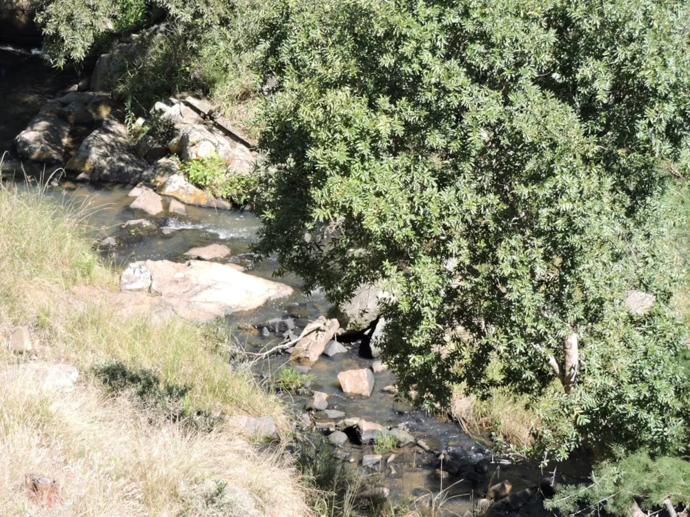 Game farm for sale in Rustenburg - 1RU1733451 Game farm for sale in Rustenburg - 1RU1733451