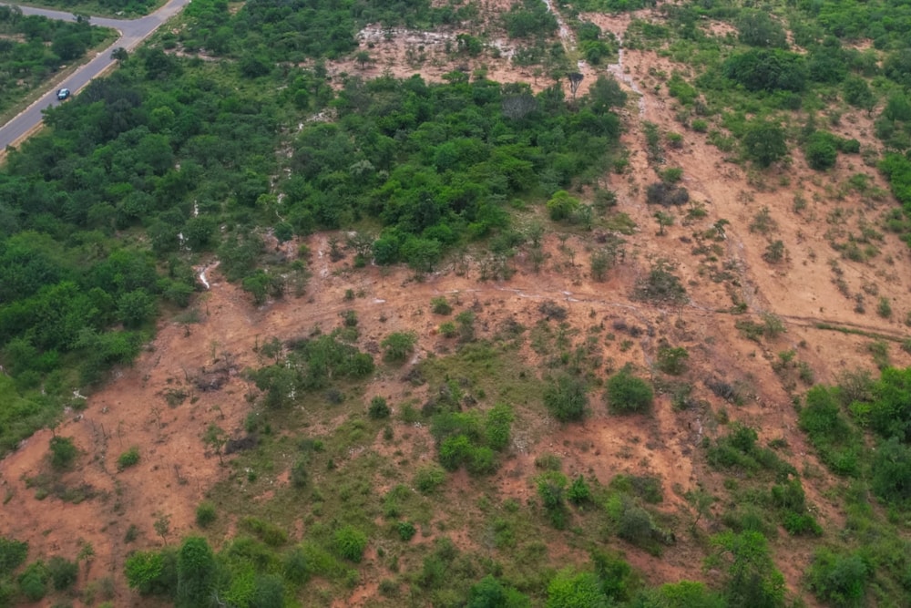 Vacant land for sale in Bulawayo, Zimbabwe - 3ZB1733531 Vacant land for sale in Bulawayo, Zimbabwe - 3ZB1733531