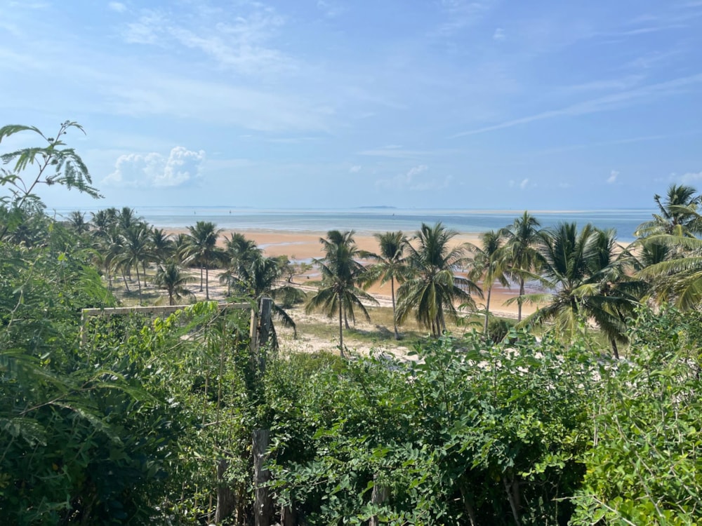 Vacant land for investment in Vilanculos, Mozambique - 3MQ1733675 Vacant land for investment in Vilanculos, Mozambique - 3MQ1733675