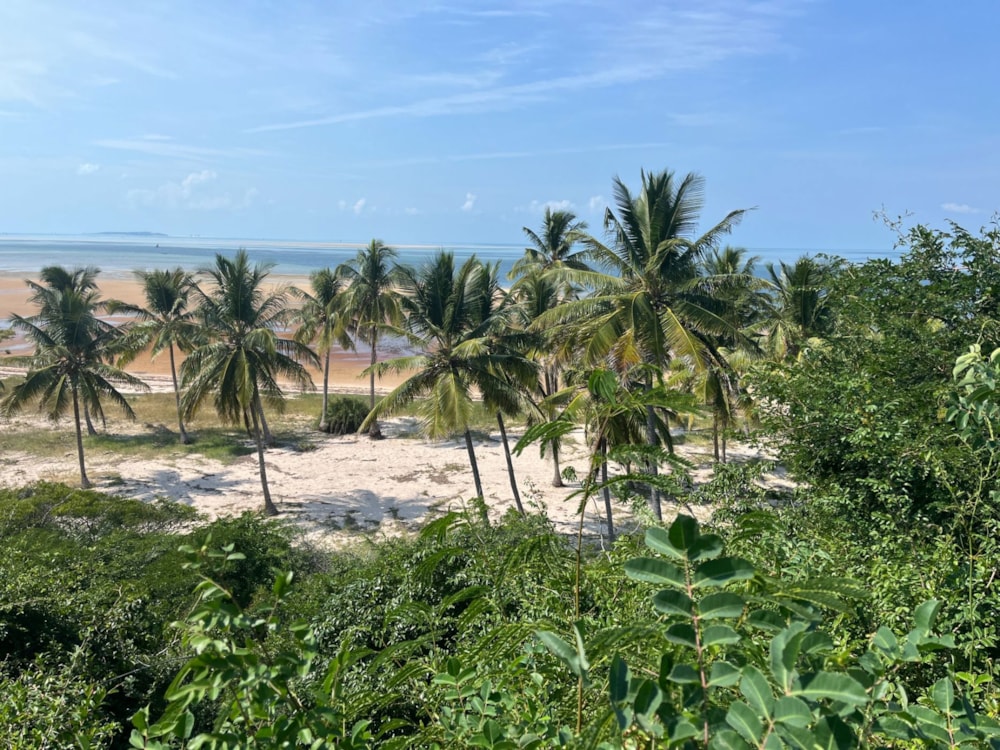 Vacant land for investment in Vilanculos, Mozambique - 3MQ1733675 Vacant land for investment in Vilanculos, Mozambique - 3MQ1733675