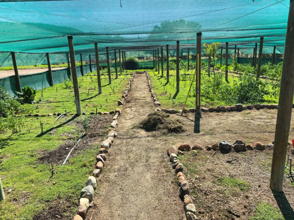 Smallholding for sale in Beaufort West Rural - 1KK1733740 Smallholding for sale in Beaufort West Rural - 1KK1733740
