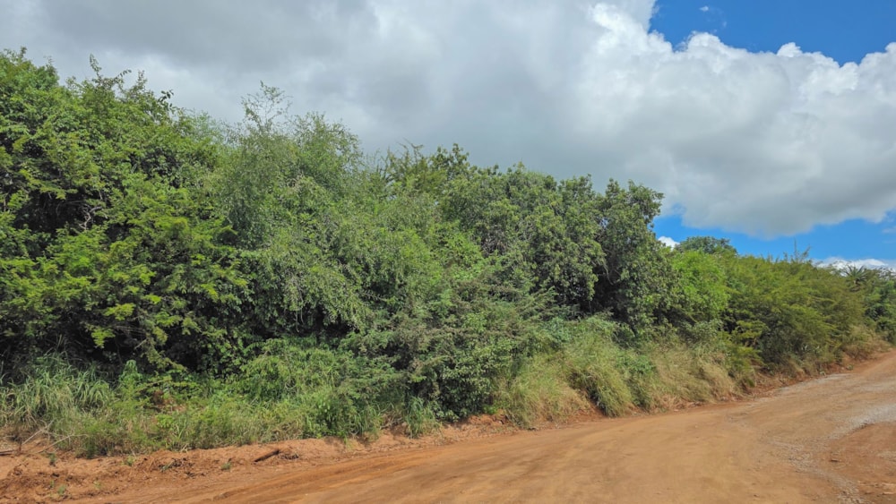 Vacant land for sale in Komatipoort - 1NK1733753