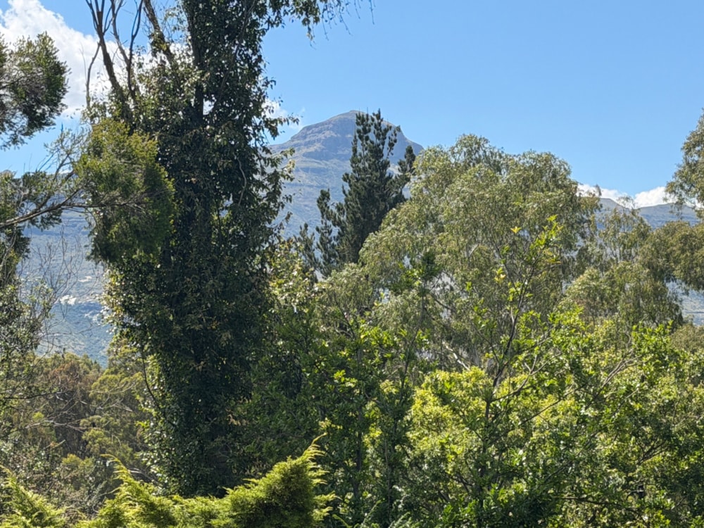 Double-storey house for sale in Clarens - 1CS1733807